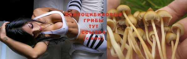 каннабис Алексин