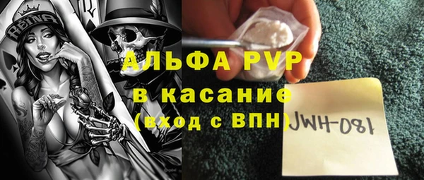 PSILOCYBIN Алзамай