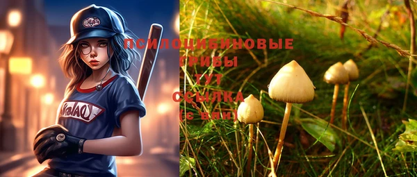 PSILOCYBIN Алзамай