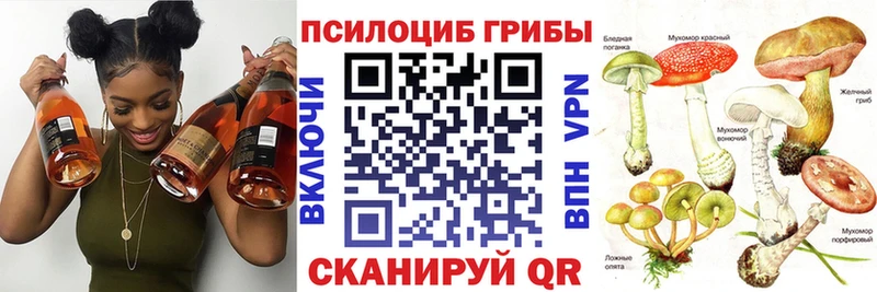 Галлюциногенные грибы GOLDEN TEACHER  Каргат 